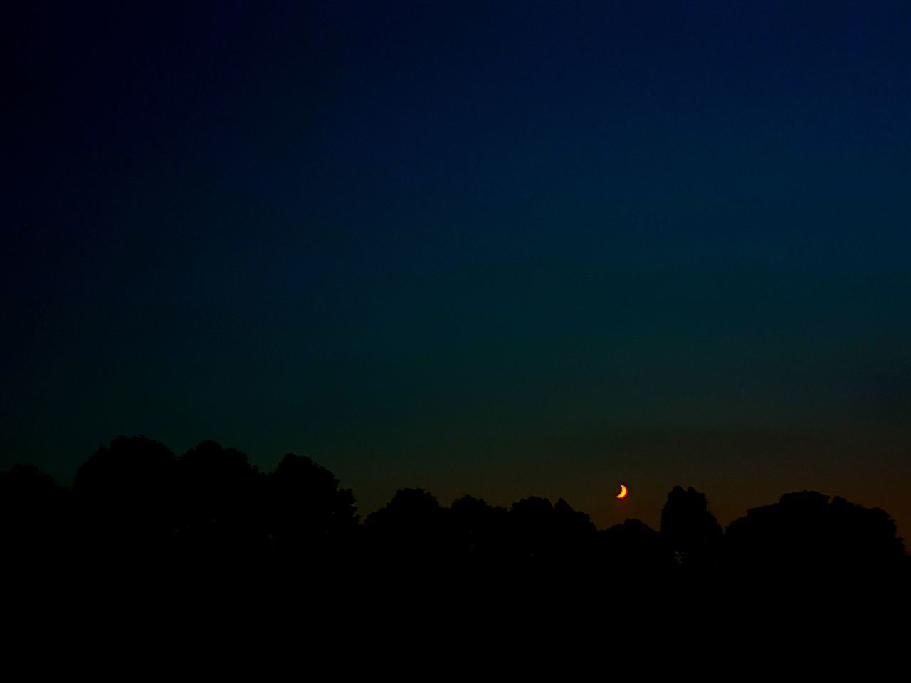 SILHOUETTE TREES AGAINST SKY AT SUNSET