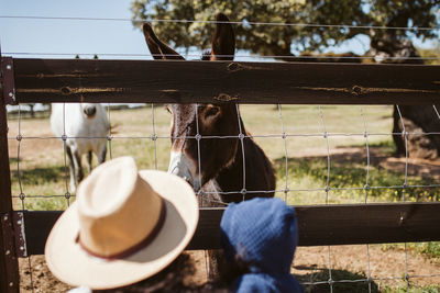 Rear view of mother and daughter looking at horse in pen