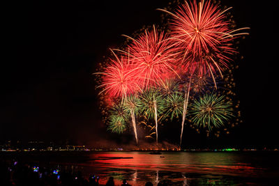 Low angle view of firework display at night