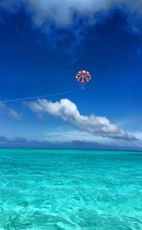 Scenic view of people parasailing