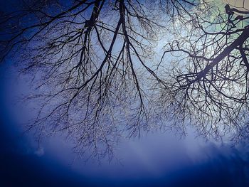 Low angle view of bare trees against sky