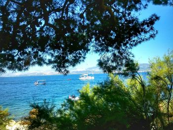 View of boats sailing in sea