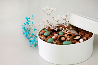 Close-up of potted plant