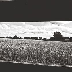 Scenic view of field against cloudy sky