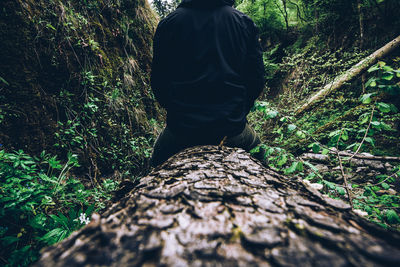 Rear view of man standing by tree trunk in forest