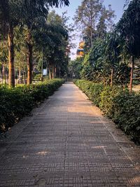 Empty road along trees in park