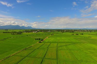 Scenic view of agricultural field against cloudy sky