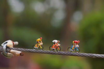 Close-up of rope on metal fence