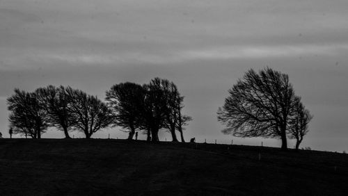 Silhouette trees on landscape against sky