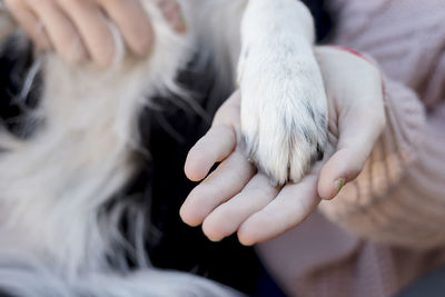 Cropped hand of woman with paw