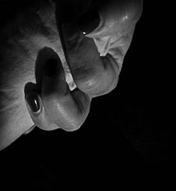 black background