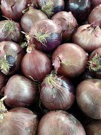 Full frame shot of onions in market