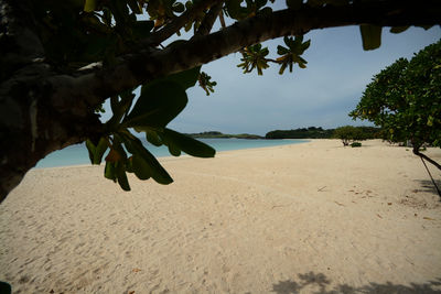 Scenic view of beach against sky