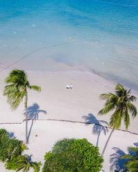 Scenic view of beach