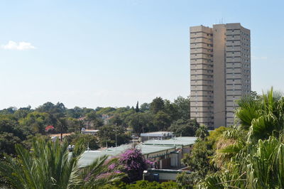 Trees and buildings against sky