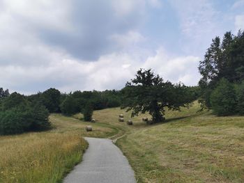 Road amidst trees against sky