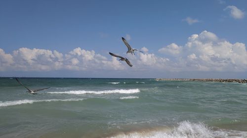 Seagulls flying over sea against sky