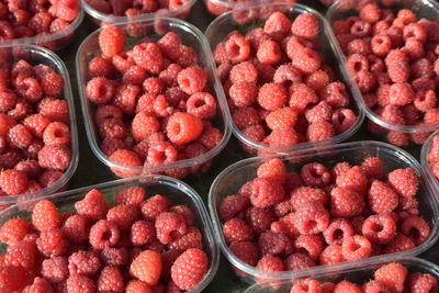 High angle view of red berries in container