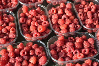 High angle view of red berries in container