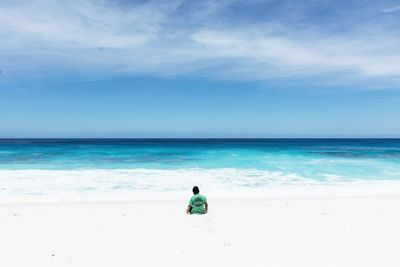 Rear view of man on beach against sky