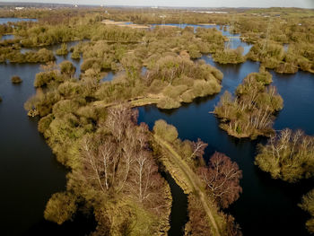 High angle view of plants by lake