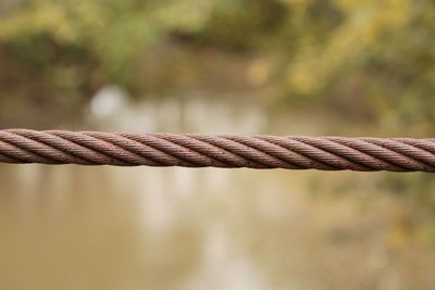 Close-up of rope