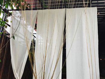Clothes drying on clothesline against white wall
