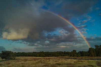 Scenic view of rainbow over field against sky