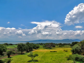 Scenic view of landscape against sky