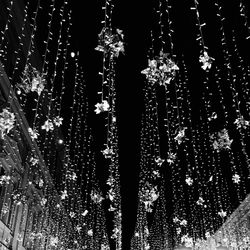 Low angle view of illuminated christmas tree at night