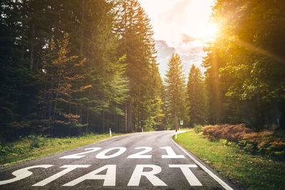 Road sign by trees in forest