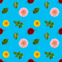 Full frame shit of flowers on blue background