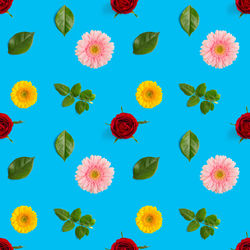 Full frame shit of flowers on blue background