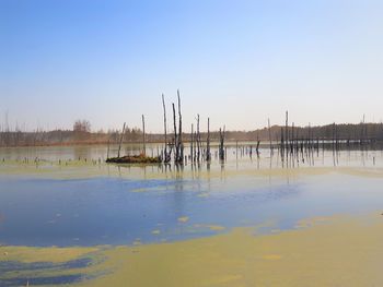 Scenic view of lake against clear sky