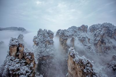 Panoramic shot of snow covered trees against sky