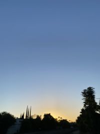 Low angle view of silhouette trees against clear sky