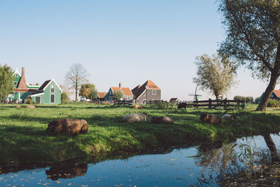 Sheep on grassy field by canal against sky