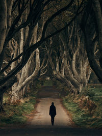 Full length rear view of man walking on road in forest