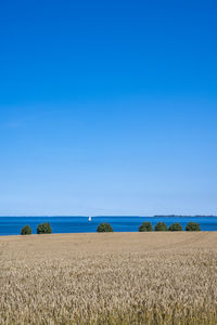 horizon