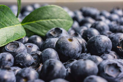 Close-up of fresh blueberries