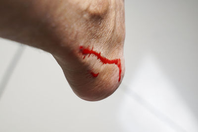 Close-up of human hand against white background