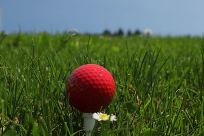 Close-up of red ball on field