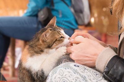 Close-up of woman playing with cat