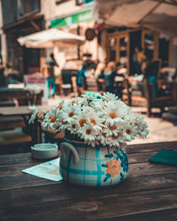 Close-up of potted plant on table