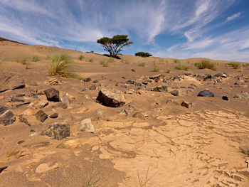 Scenic view of desert against sky