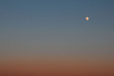 Low angle view of moon in sky