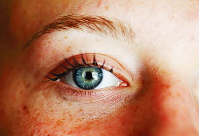 Close-up of woman eye