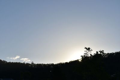 Scenic view of trees at sunset