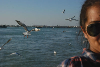 Birds flying over sea