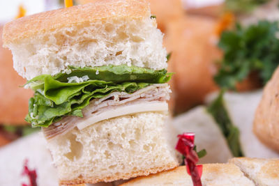 Close-up of sandwich